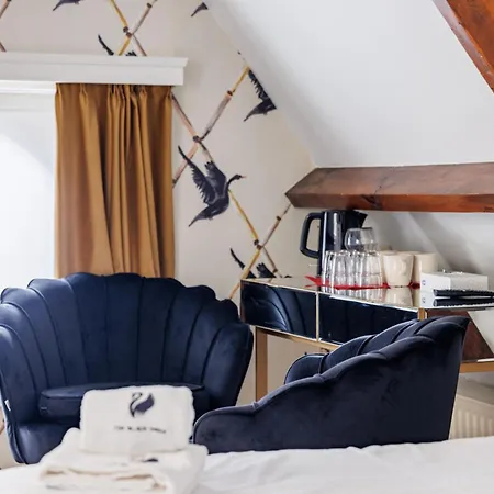 Hotel The Black Swan 3*