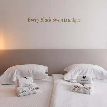 The Black Swan 3* Brugia