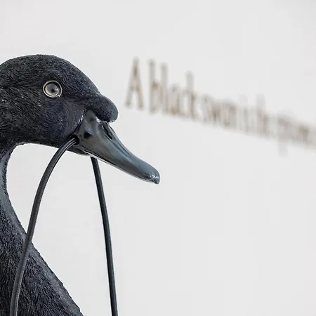 The Black Swan 3* Bruges