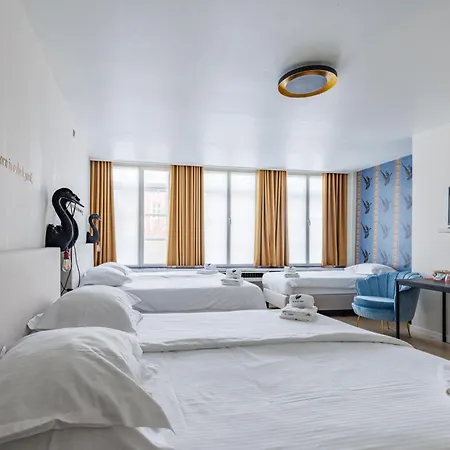The Black Swan Hotel 3*